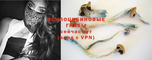 стафф Армянск