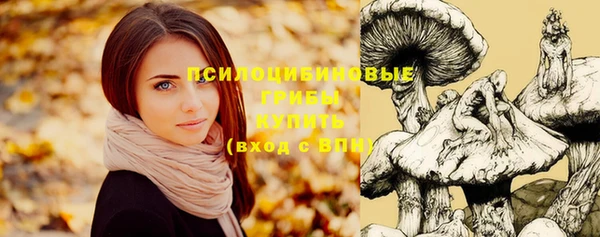 прущая мука Арсеньев