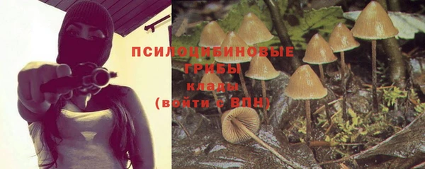 стафф Армянск