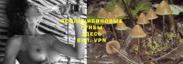 прущая мука Арсеньев