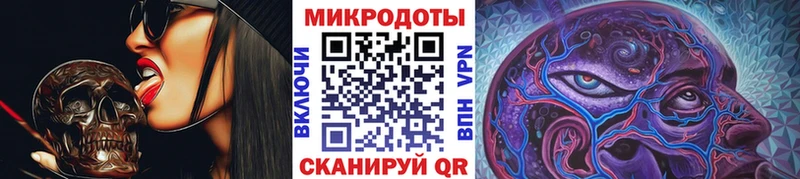 kraken вход Полевской Псилоцибиновые грибы мицелий